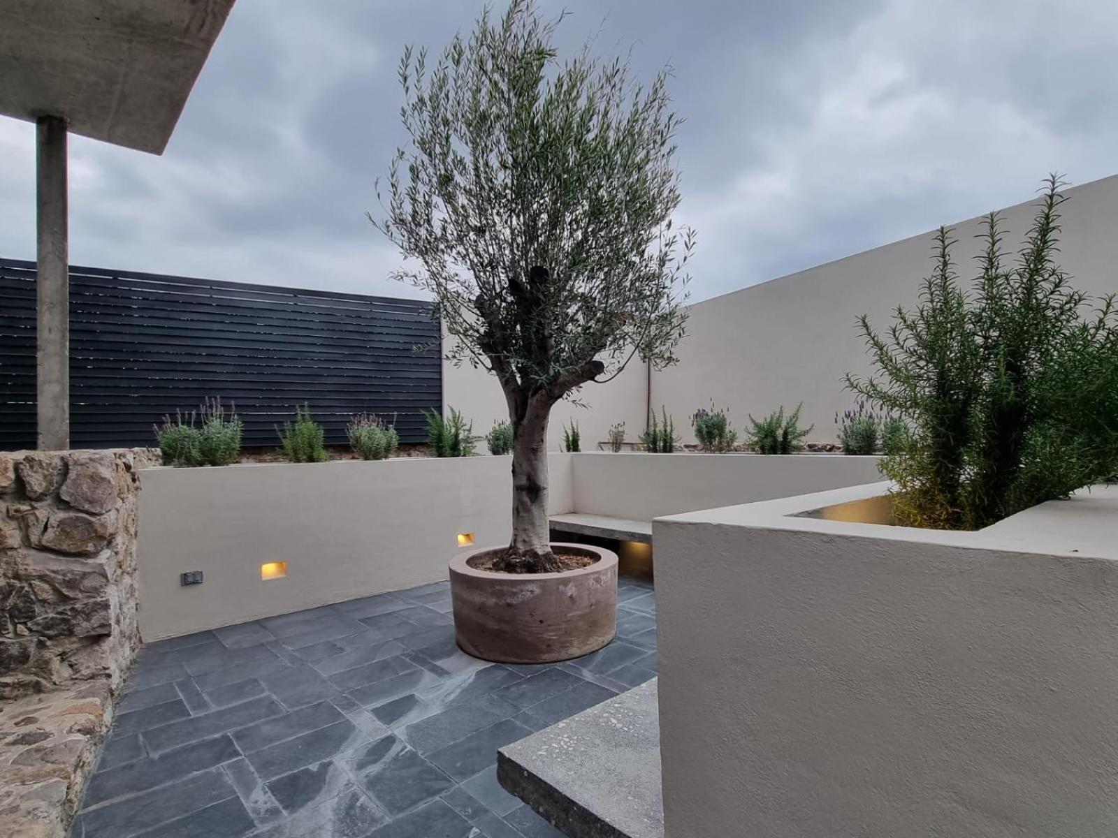Casa Origenes Otel San Miguel de Allende Dış mekan fotoğraf