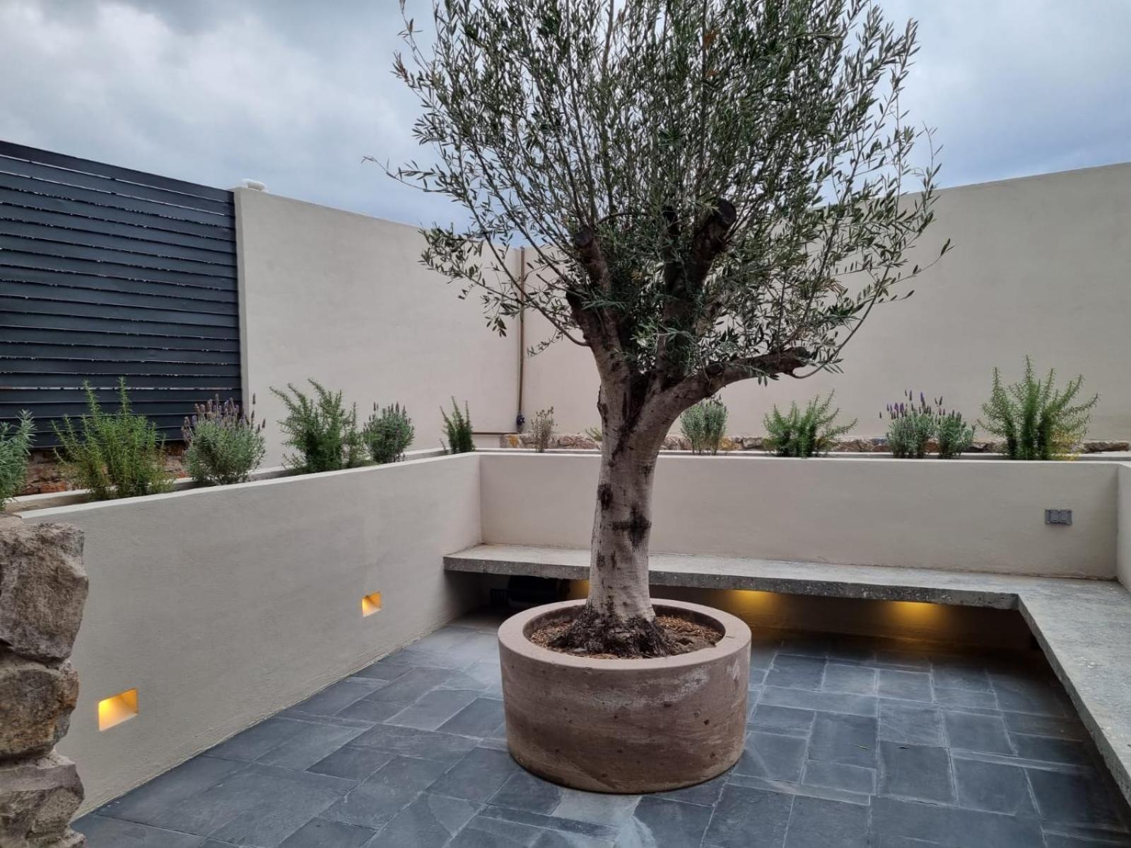 Casa Origenes Otel San Miguel de Allende Dış mekan fotoğraf